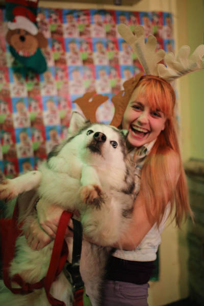 Pets That Definitely Aren't Excited For The Holidays (56 pics)