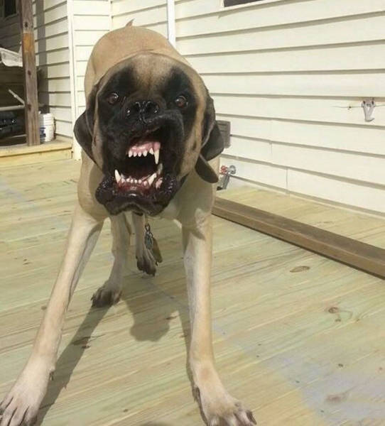 Sometimes The Camera Captures Photos At The Perfect Moment (45 pics)