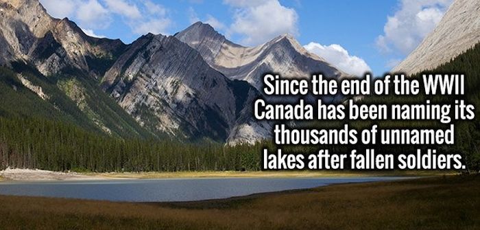 Completely Random And Fascinating Facts That Will Amuse You (27 pics)