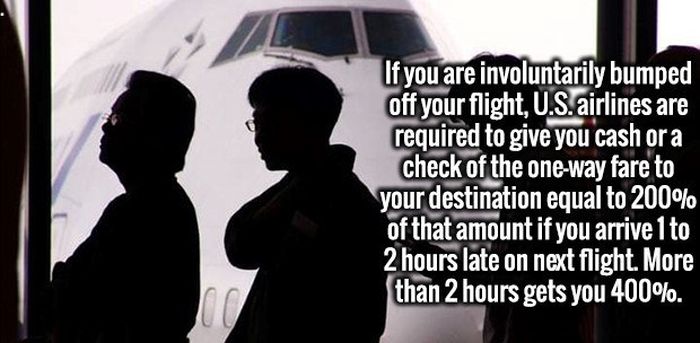 Completely Random And Fascinating Facts That Will Amuse You (27 pics)