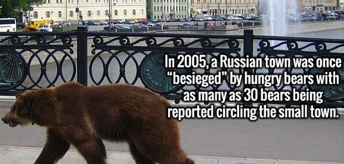 Completely Random And Fascinating Facts That Will Amuse You (27 pics)