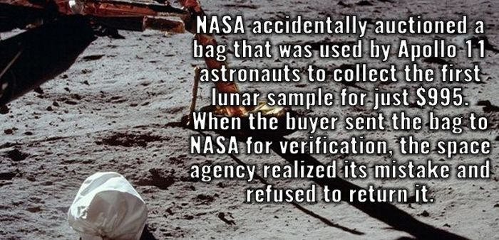 Completely Random And Fascinating Facts That Will Amuse You (27 pics)