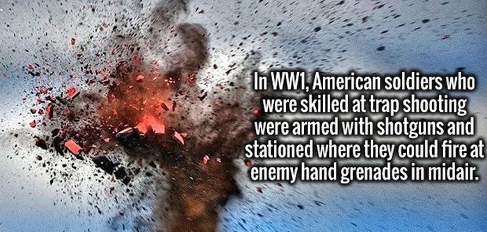 Completely Random And Fascinating Facts That Will Amuse You (27 pics)