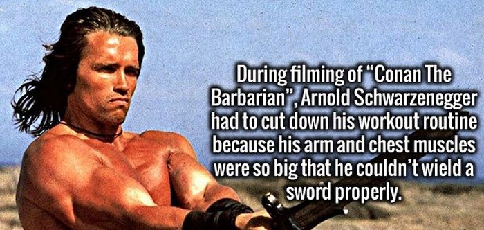 Completely Random And Fascinating Facts That Will Amuse You (27 pics)