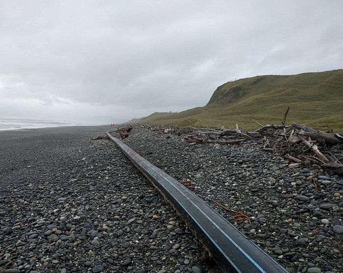 Long Object Baffles New Zealand Beachgoers (4 pics)