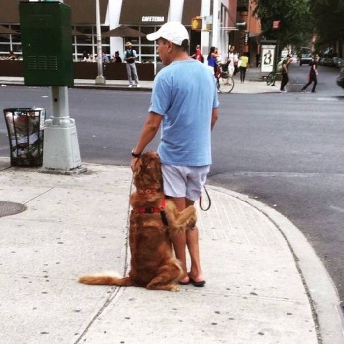 Unique Pictures That Say More Than Just A Thousand Words (40 pics)