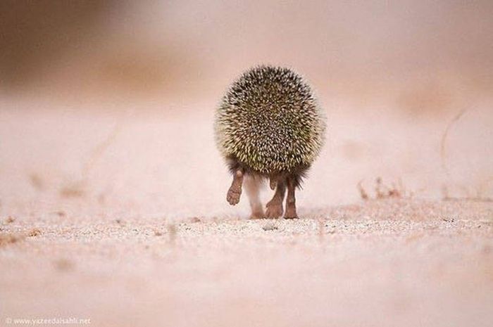 Unique Pictures That Say More Than Just A Thousand Words (40 pics)