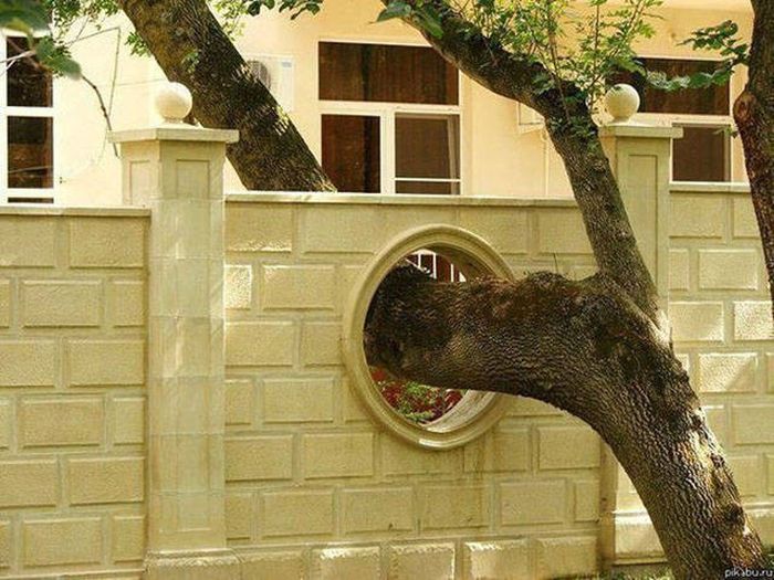 Unique Pictures That Say More Than Just A Thousand Words (40 pics)