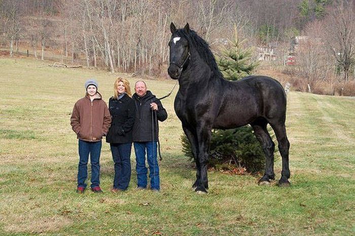 Unique Pictures That Say More Than Just A Thousand Words (40 pics)