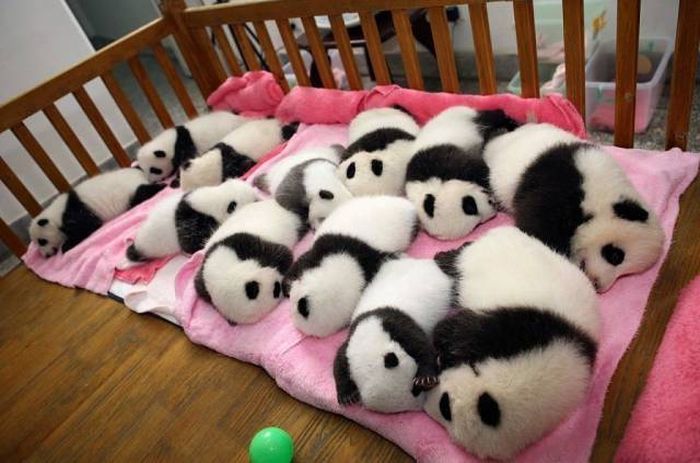 Unique Pictures That Say More Than Just A Thousand Words (40 pics)