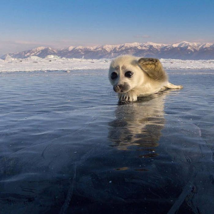 Unique Pictures That Say More Than Just A Thousand Words (40 pics)