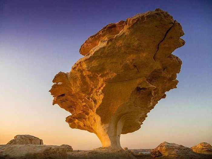 Unique Pictures That Say More Than Just A Thousand Words (40 pics)