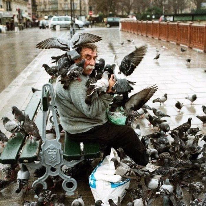 Unique Pictures That Say More Than Just A Thousand Words (40 pics)