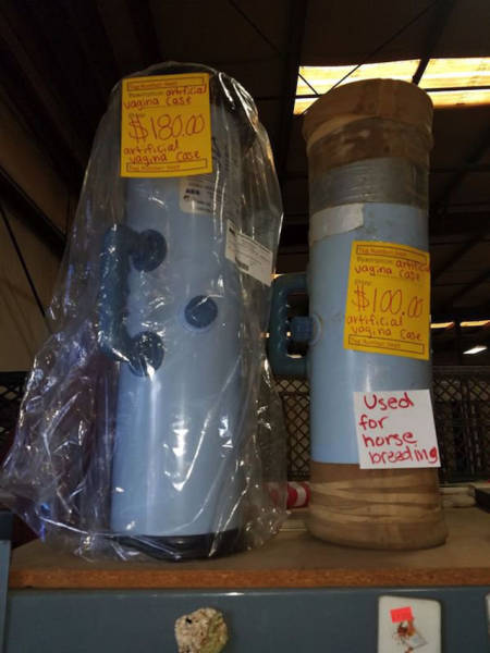 Thrift Shop Discoveries That Will Melt Your Brain (41 pics)