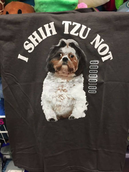 Thrift Shop Discoveries That Will Melt Your Brain (41 pics)