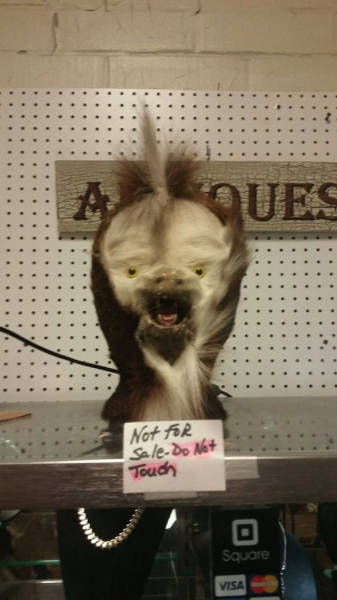 Thrift Shop Discoveries That Will Melt Your Brain (41 pics)