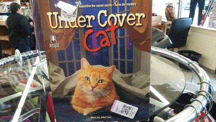 Thrift Shop Discoveries That Will Melt Your Brain (41 pics)