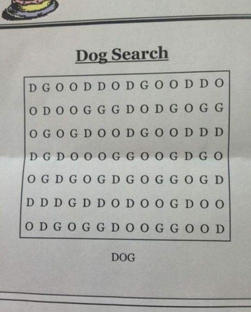 Clever Dog Puzzle Has People Scratching Their Heads (2 pics)