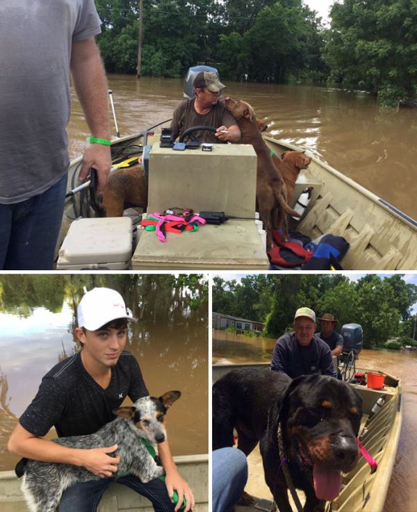 Wonderful Images That Will Restore Your Faith In Humanity In 2016 (20 pics)