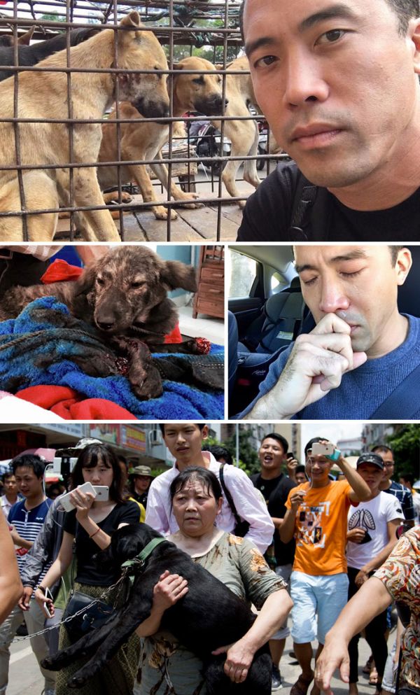 Wonderful Images That Will Restore Your Faith In Humanity In 2016 (20 pics)