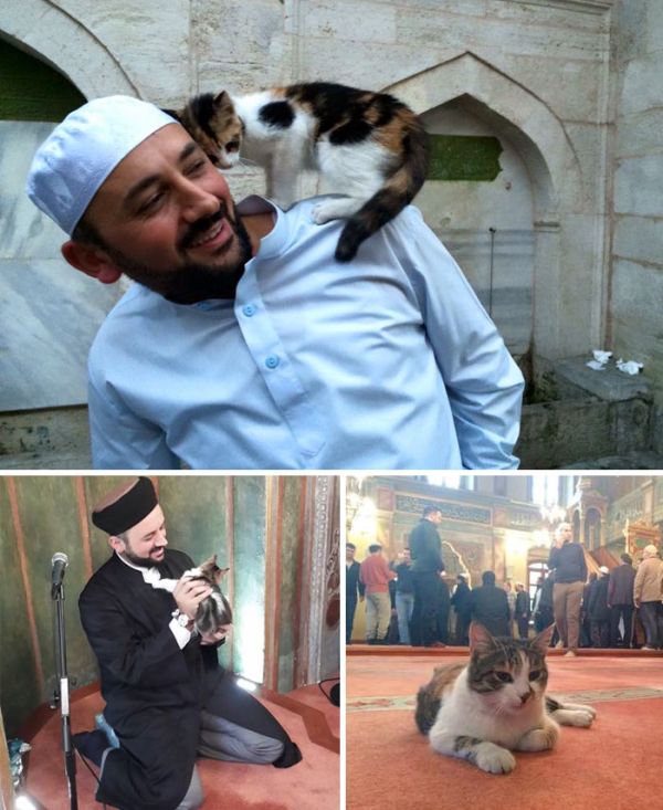 Wonderful Images That Will Restore Your Faith In Humanity In 2016 (20 pics)