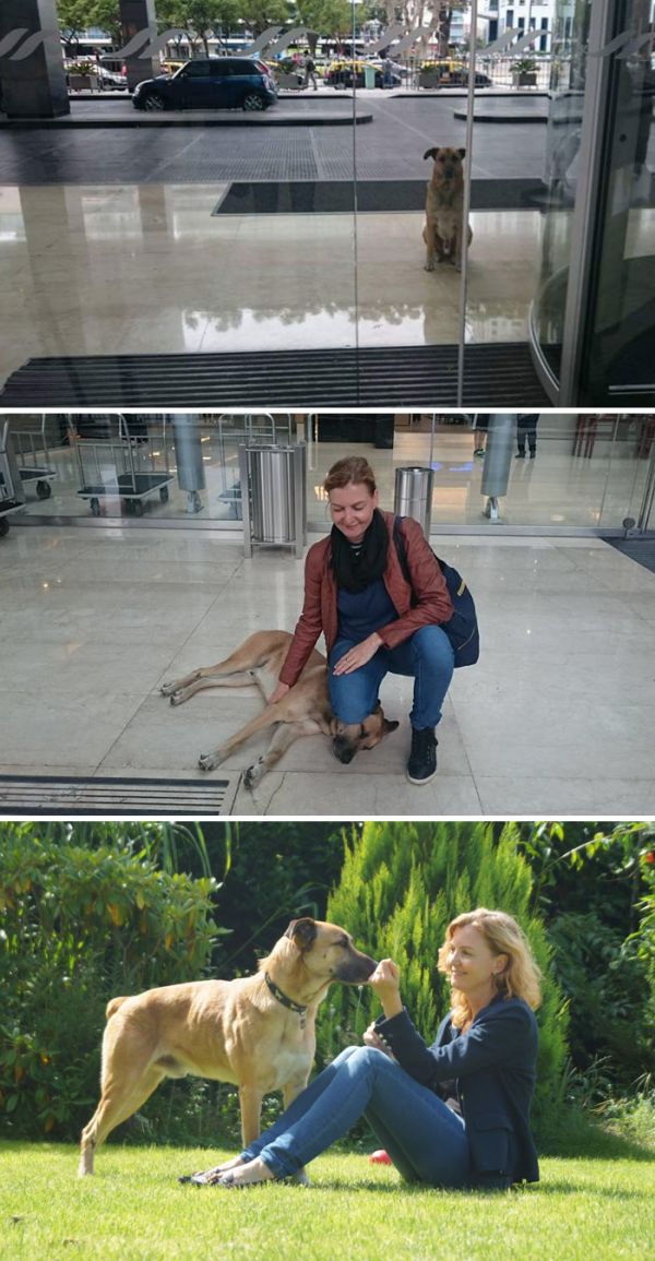 Wonderful Images That Will Restore Your Faith In Humanity In 2016 (20 pics)