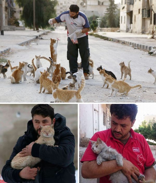 Wonderful Images That Will Restore Your Faith In Humanity In 2016 (20 pics)