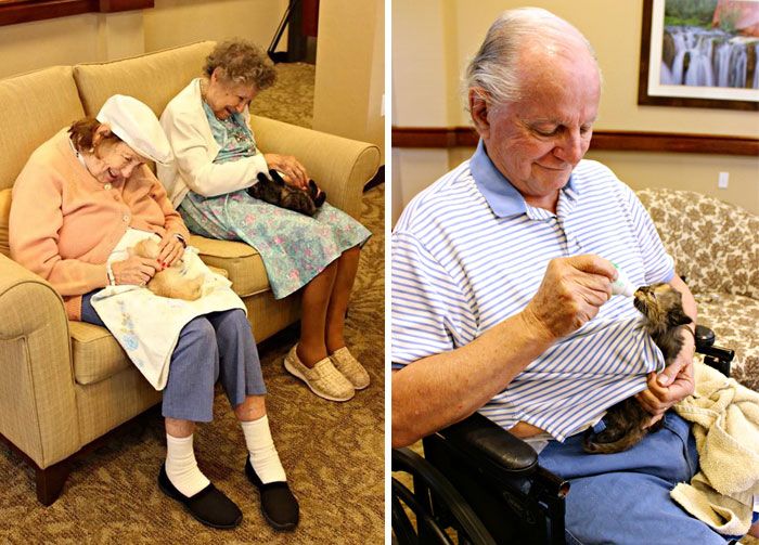 Wonderful Images That Will Restore Your Faith In Humanity In 2016 (20 pics)