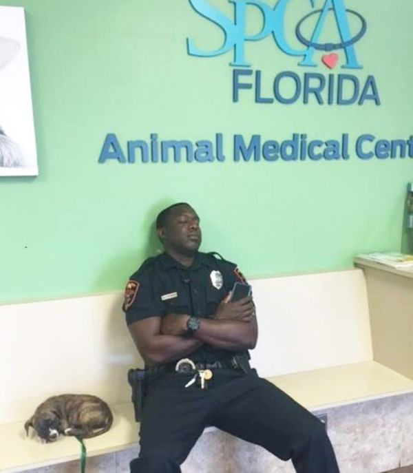 Wonderful Images That Will Restore Your Faith In Humanity In 2016 (20 pics)