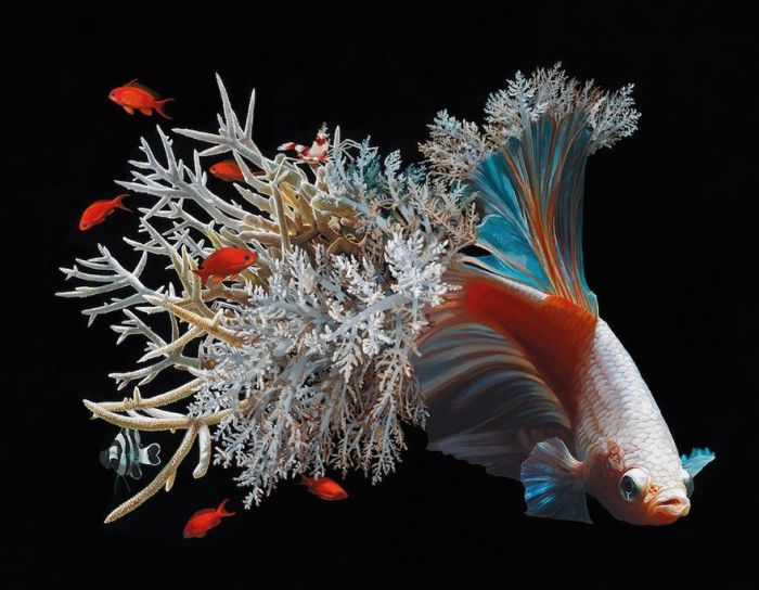 Lisa Ericson Creates Incredible Surreal Fish Paintings (9 pics)