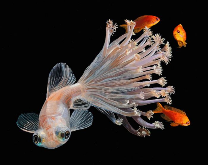 Lisa Ericson Creates Incredible Surreal Fish Paintings (9 pics)