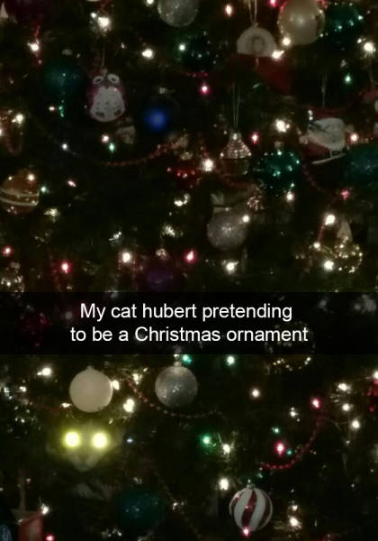 Everybody Needs A Little Christmas Themed Laughter Around The Holidays (40 pics)