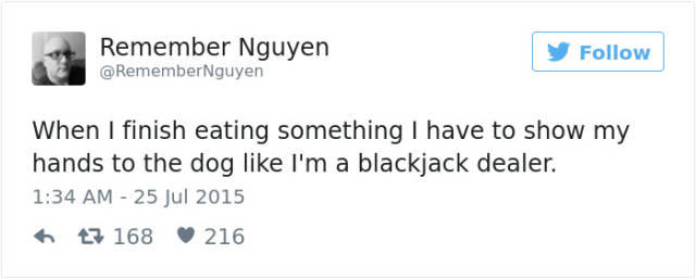 The Most Hilarious Dog Tweets Of 2016 (50 pics)