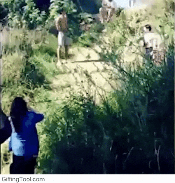 Daring People Who Like To Live Life To The Extreme (27 gifs)