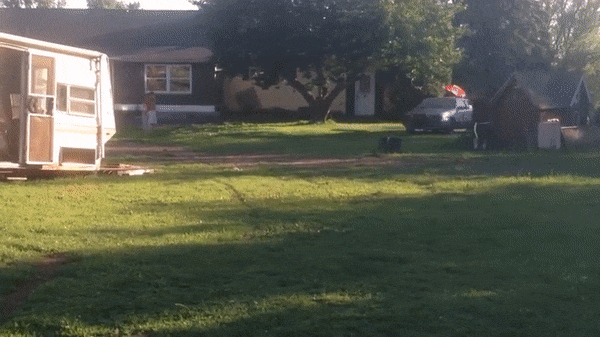Daring People Who Like To Live Life To The Extreme (27 gifs)