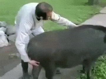 Daring People Who Like To Live Life To The Extreme (27 gifs)