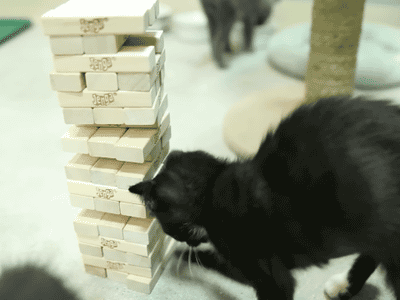 Acid Gifdump, December 26, 2016 (25 gifs)