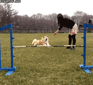 Acid Gifdump, December 26, 2016 (25 gifs)