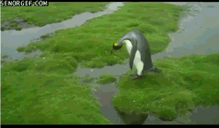 Acid Gifdump, December 26, 2016 (25 gifs)