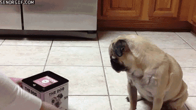 Acid Gifdump, December 26, 2016 (25 gifs)