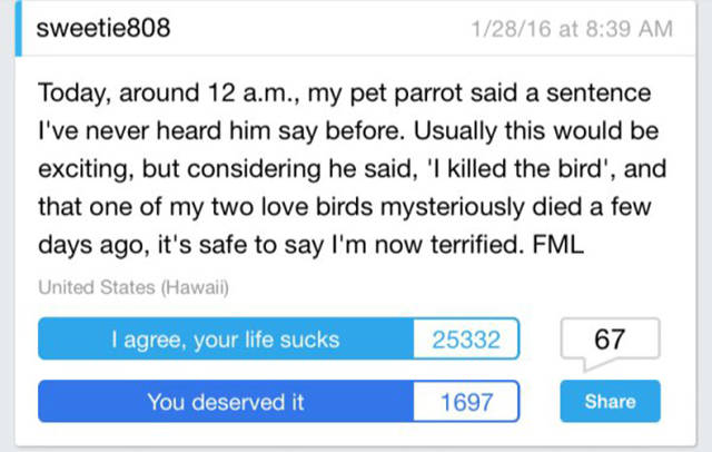 FML Stories That Will Show You How Awkward Life Can Get (29 pics)