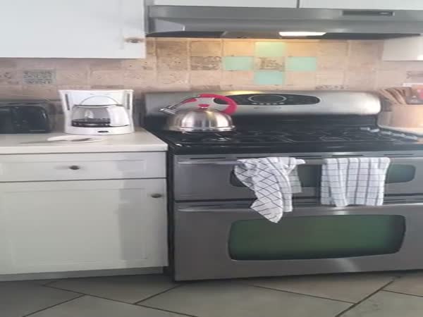 Guy Waiting For His Boiling Water Is Trolled By His Roommate