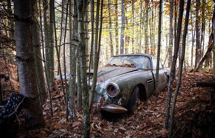 Abandoned Aston Martin Set To Sell For A Small Fortune (8 pics)