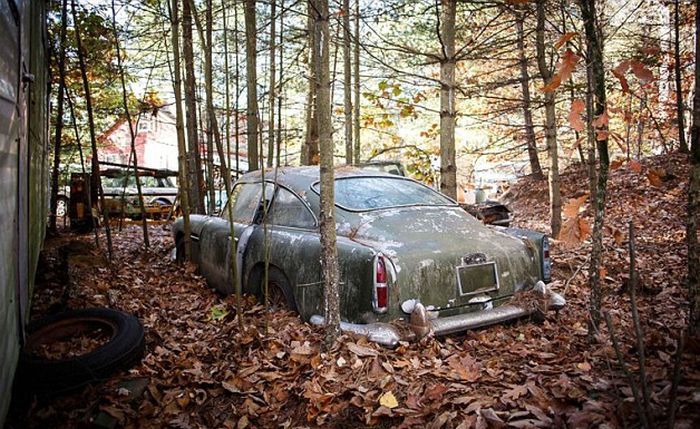 Abandoned Aston Martin Set To Sell For A Small Fortune (8 pics)