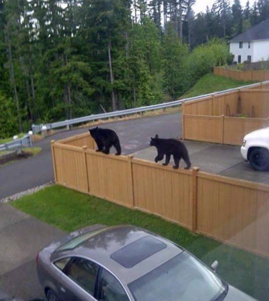 Pictures That Say A Thousand Words And A Whole Lot More (42 pics)