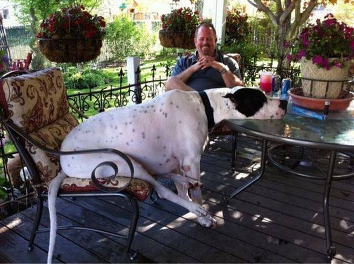 Pictures That Say A Thousand Words And A Whole Lot More (42 pics)