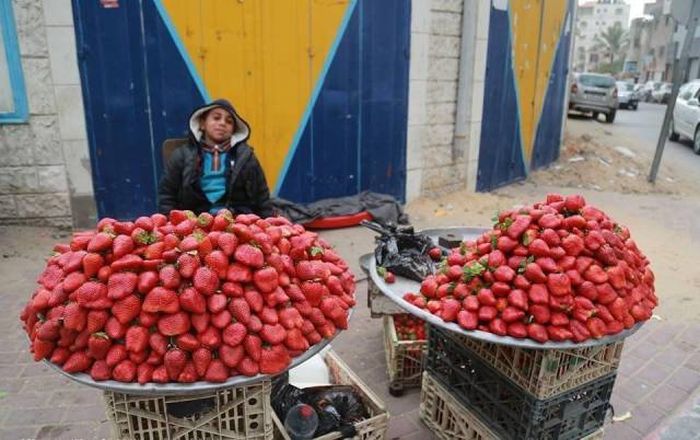 Pictures That Say A Thousand Words And A Whole Lot More (42 pics)