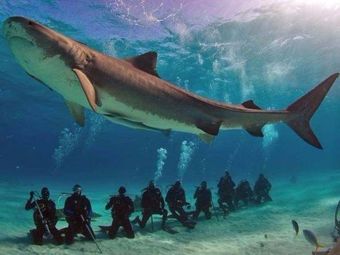 Pictures That Say A Thousand Words And A Whole Lot More (42 pics)