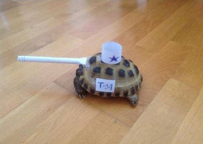 Pictures That Say A Thousand Words And A Whole Lot More (42 pics)