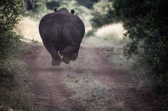 Pictures That Say A Thousand Words And A Whole Lot More (42 pics)